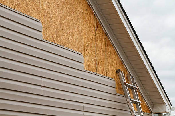 Professional Siding Inspection technician working in Chicora, PA